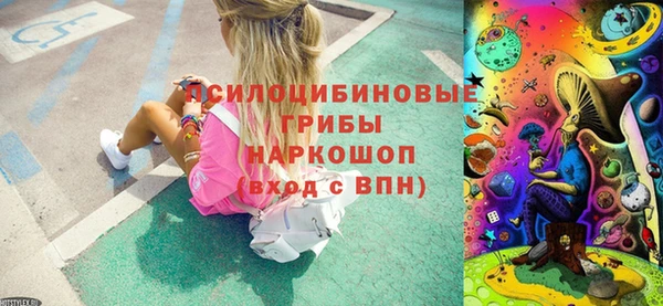 бошки Алзамай